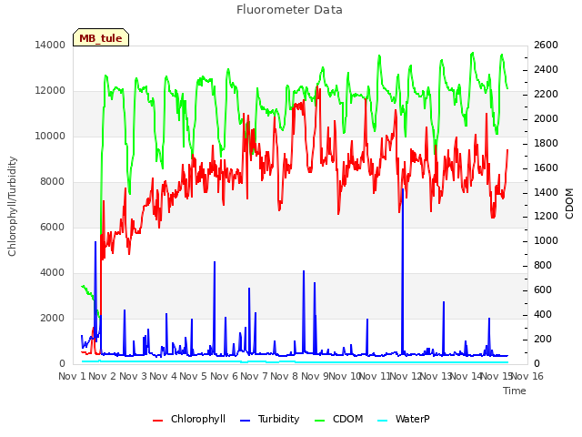 plot of Fluorometer Data