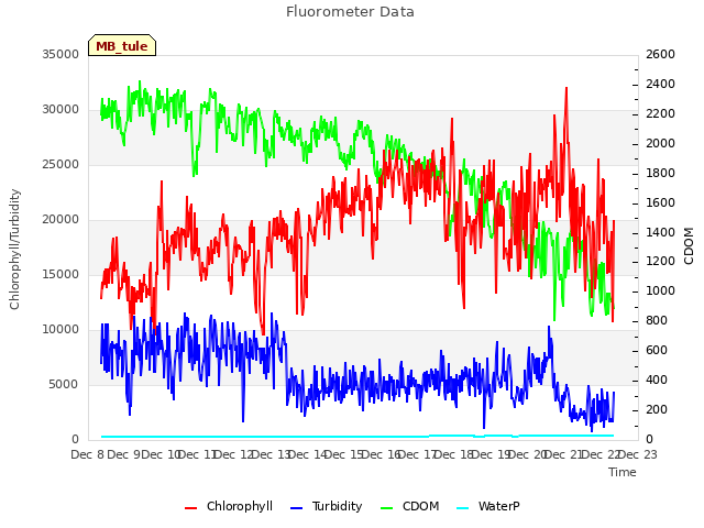 plot of Fluorometer Data