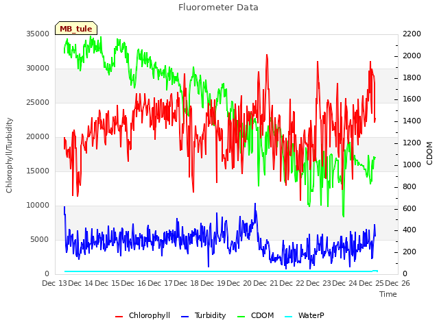 plot of Fluorometer Data