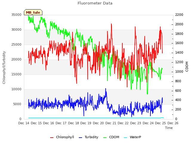 plot of Fluorometer Data