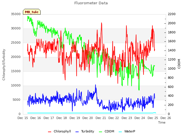 plot of Fluorometer Data