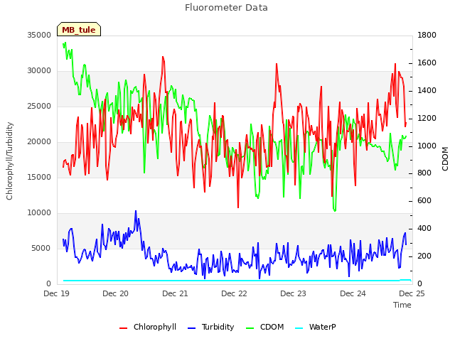 plot of Fluorometer Data