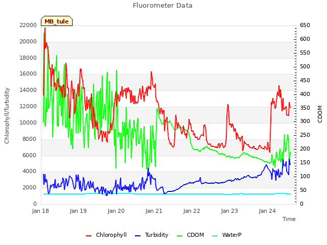 plot of Fluorometer Data