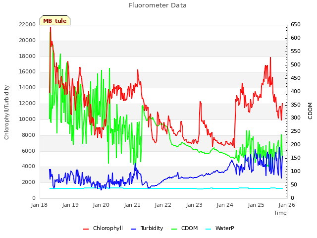 plot of Fluorometer Data