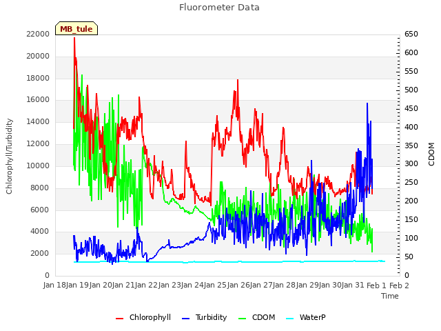 plot of Fluorometer Data