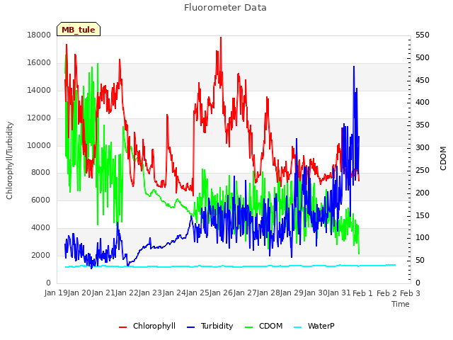 plot of Fluorometer Data