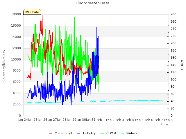 plot of Fluorometer Data