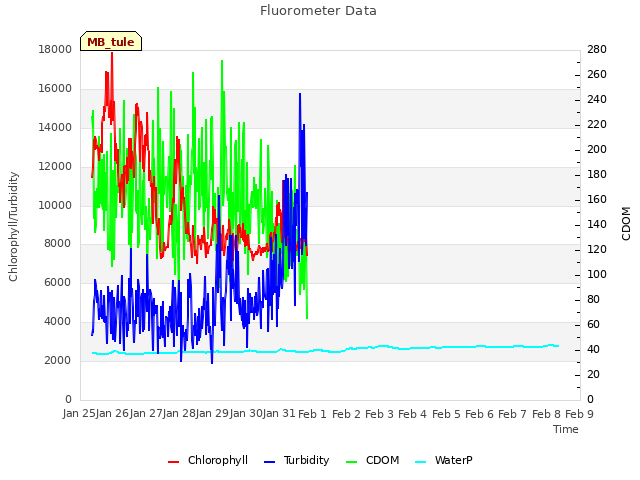 plot of Fluorometer Data