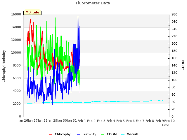 plot of Fluorometer Data