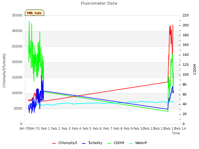 plot of Fluorometer Data