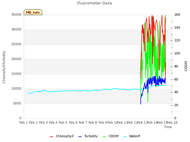 plot of Fluorometer Data