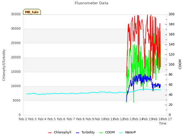 plot of Fluorometer Data