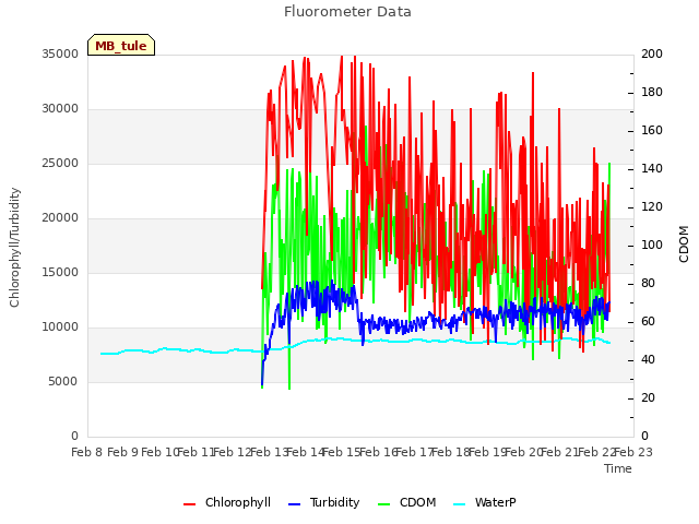 plot of Fluorometer Data