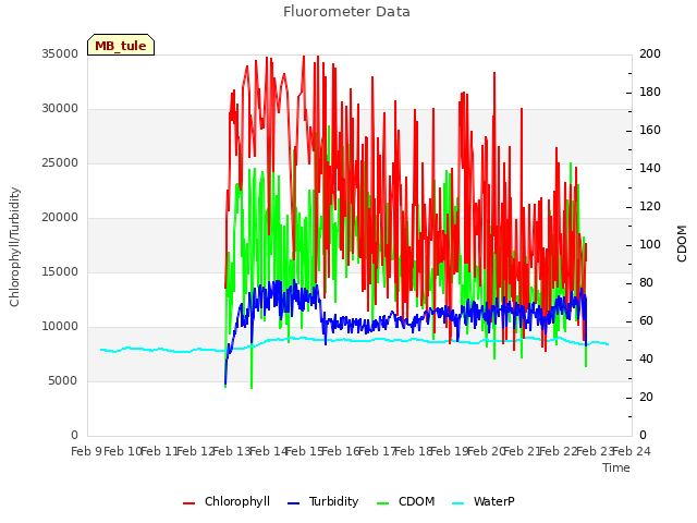 plot of Fluorometer Data