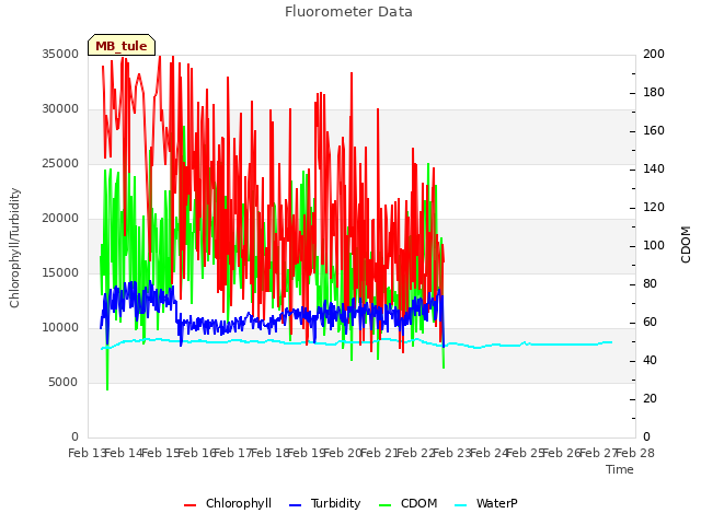 plot of Fluorometer Data