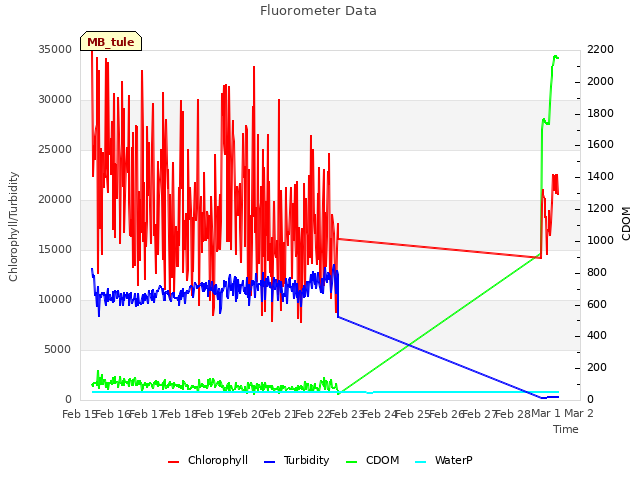 plot of Fluorometer Data