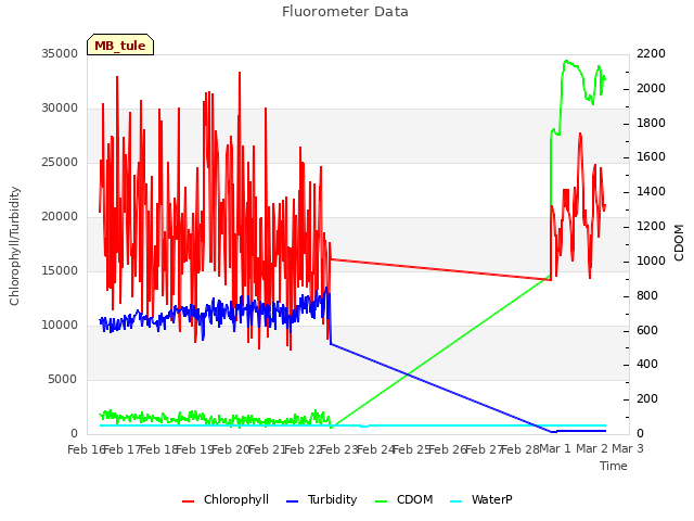 plot of Fluorometer Data