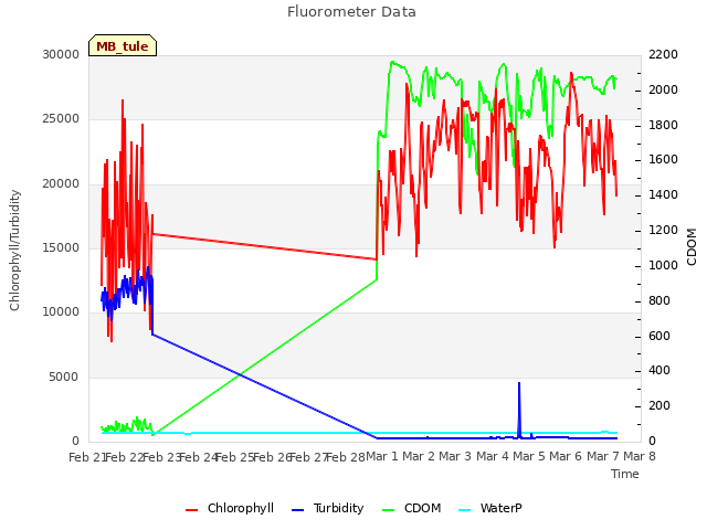 plot of Fluorometer Data