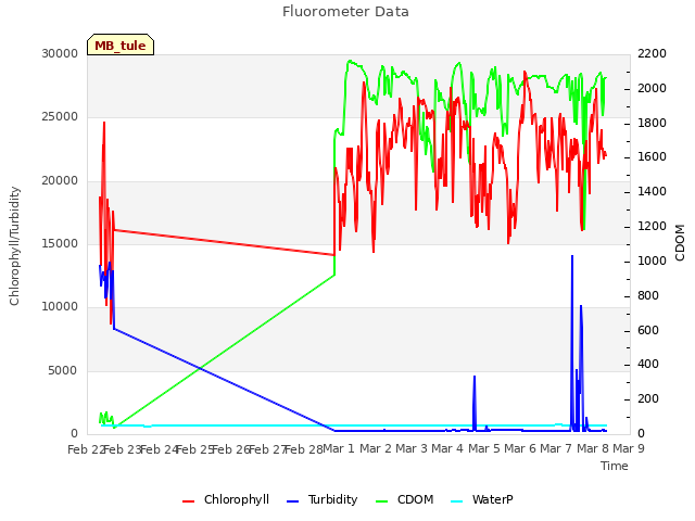 plot of Fluorometer Data