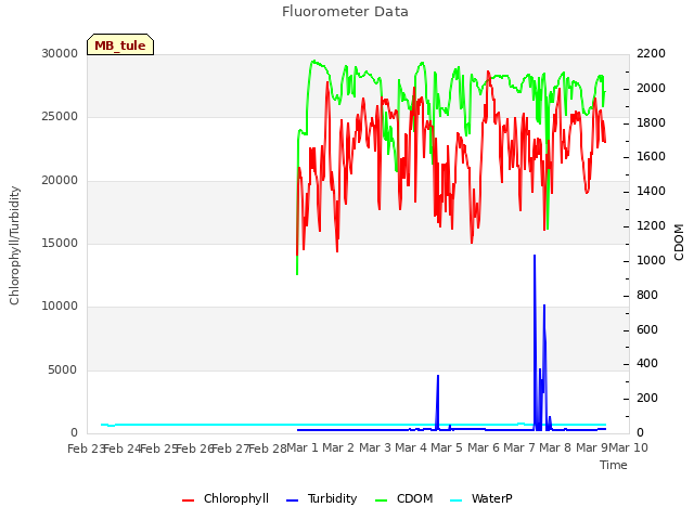 plot of Fluorometer Data