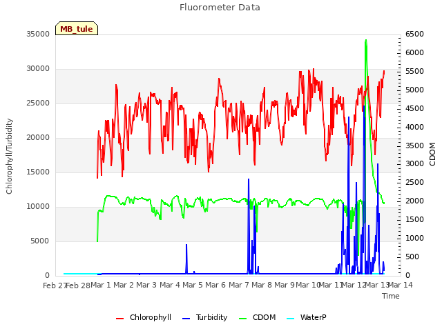 plot of Fluorometer Data