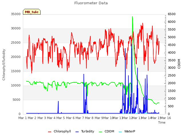 plot of Fluorometer Data