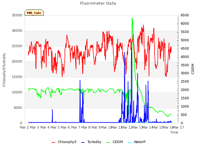 plot of Fluorometer Data