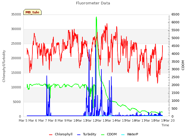 plot of Fluorometer Data