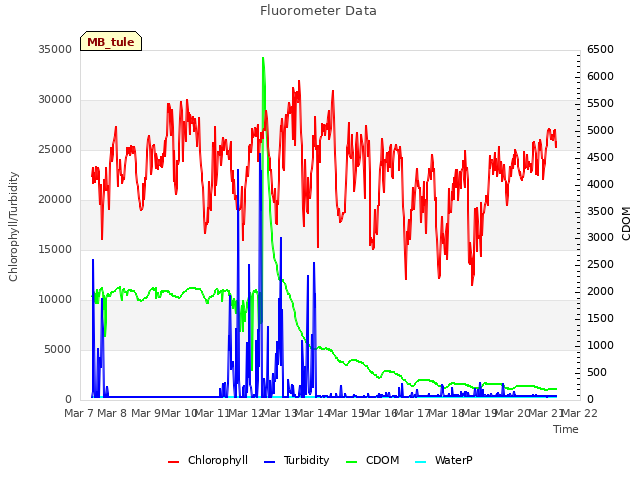 plot of Fluorometer Data