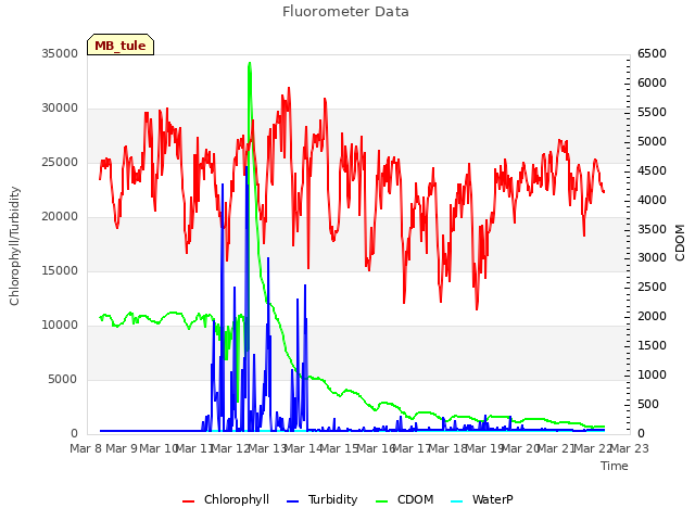 plot of Fluorometer Data