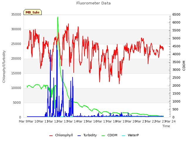 plot of Fluorometer Data