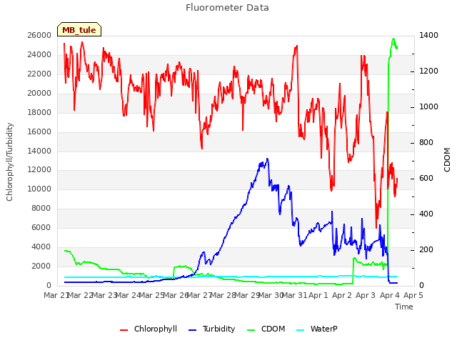 plot of Fluorometer Data