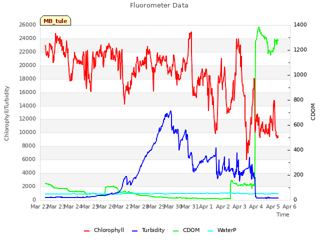 plot of Fluorometer Data