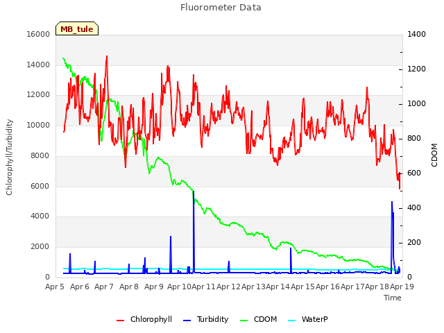 plot of Fluorometer Data