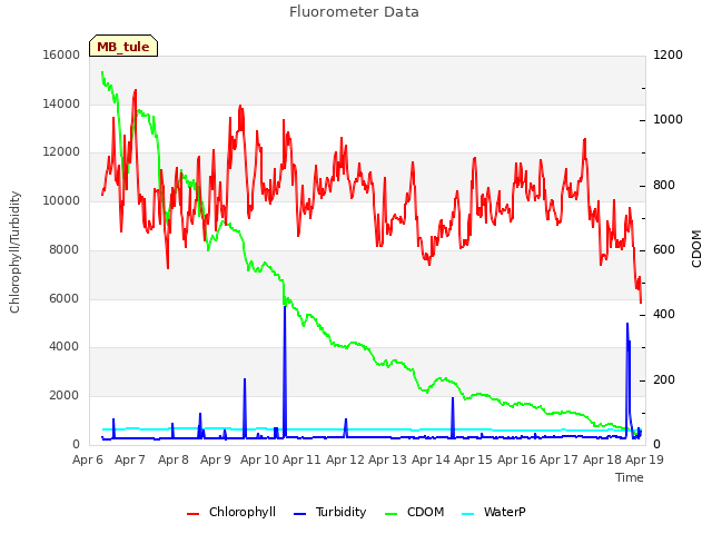 plot of Fluorometer Data