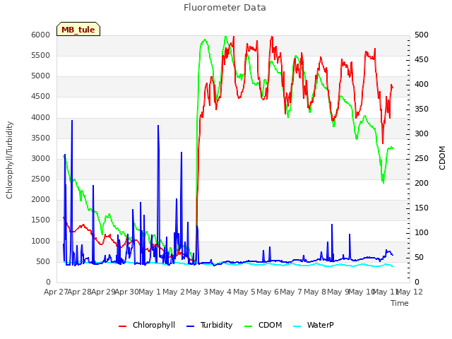 plot of Fluorometer Data