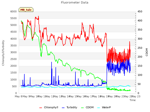 plot of Fluorometer Data