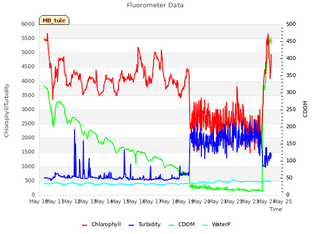 plot of Fluorometer Data