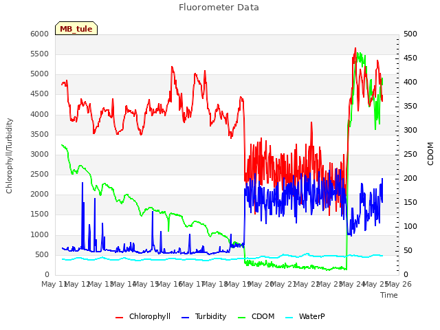 plot of Fluorometer Data