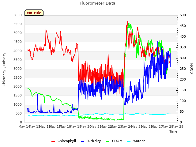 plot of Fluorometer Data