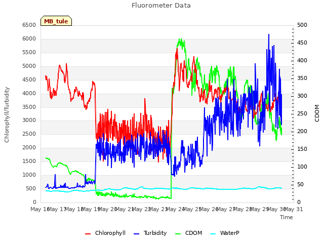 plot of Fluorometer Data
