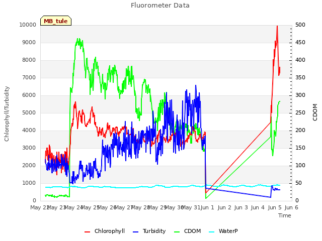 plot of Fluorometer Data