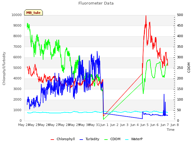 plot of Fluorometer Data