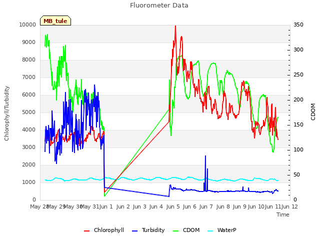 plot of Fluorometer Data