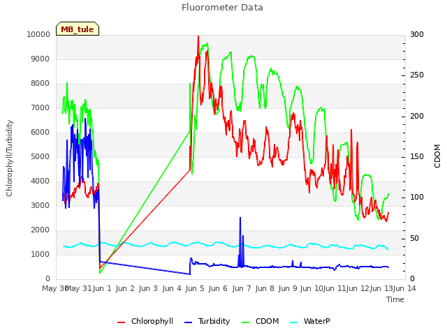 plot of Fluorometer Data