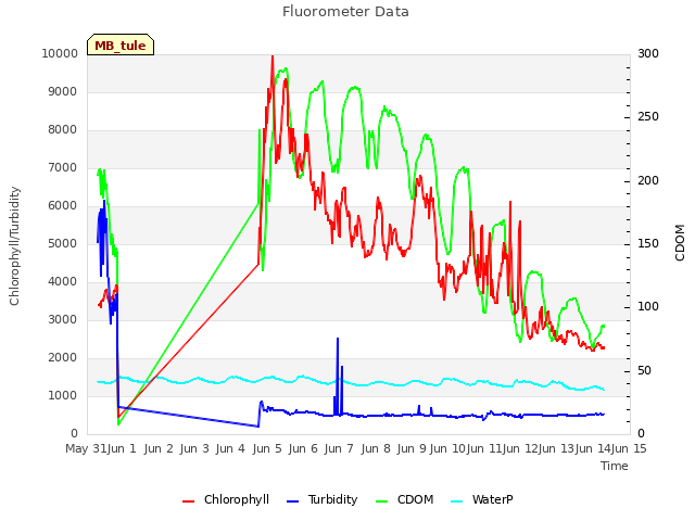 plot of Fluorometer Data