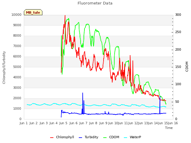 plot of Fluorometer Data