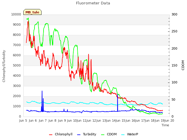 plot of Fluorometer Data