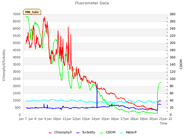 plot of Fluorometer Data