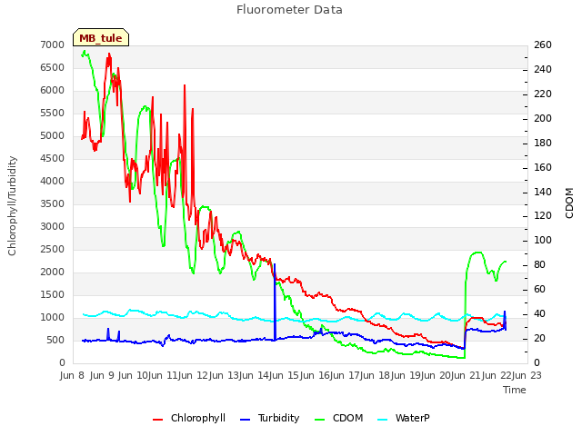 plot of Fluorometer Data